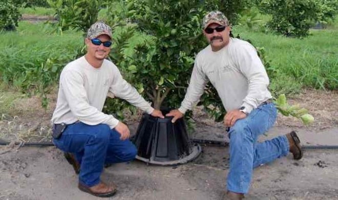 tree t pee net worth