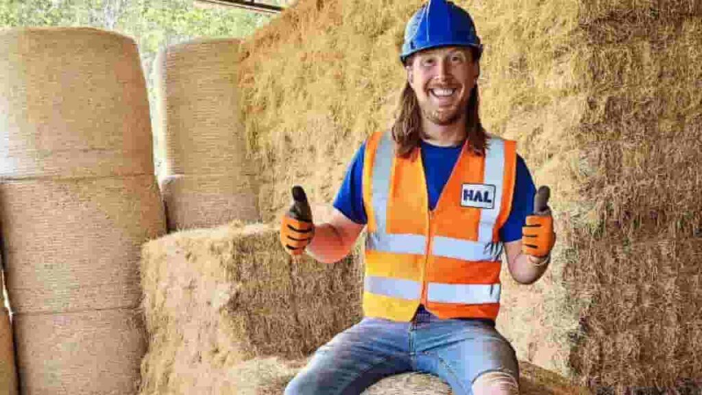 how much does handyman hal make