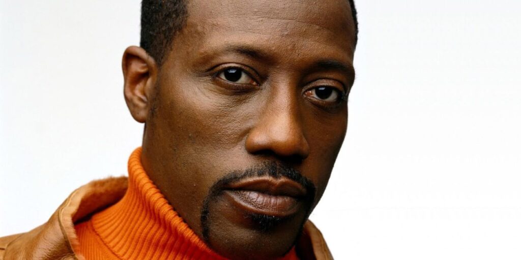 snipes net worth
