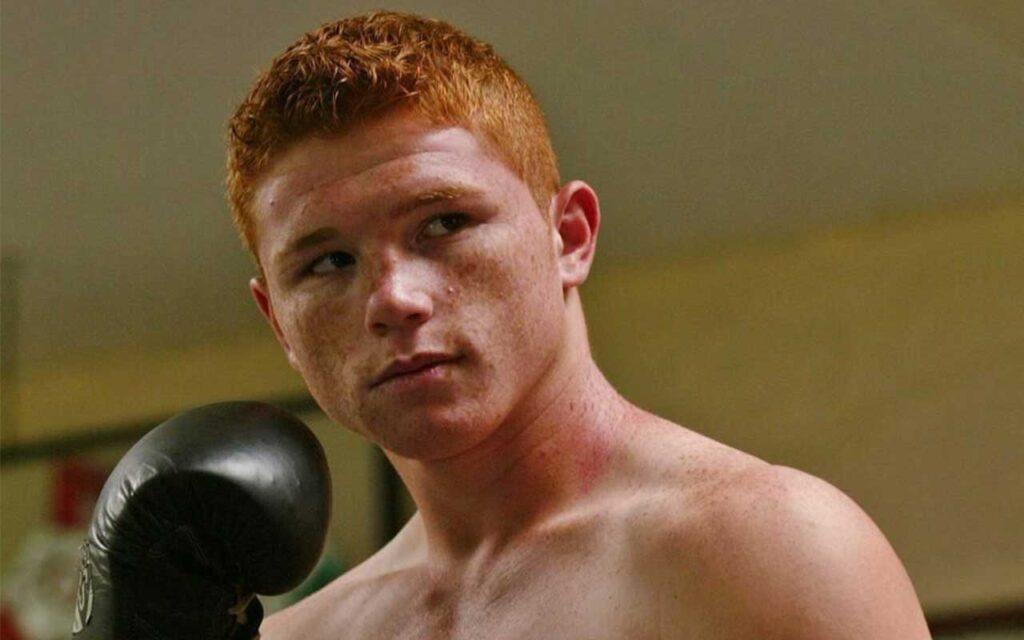 canelo net worth