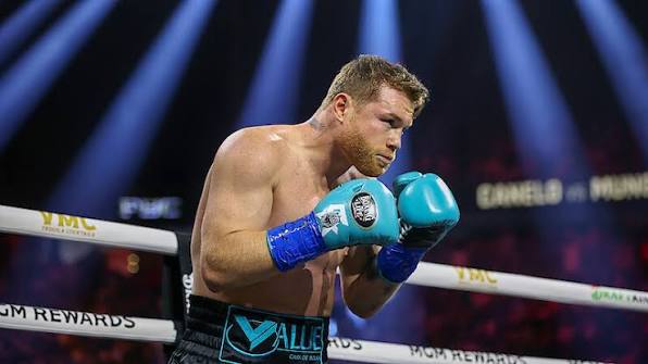 canelo net worth