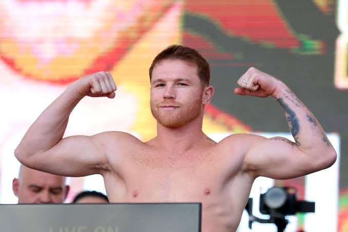 canelo net worth