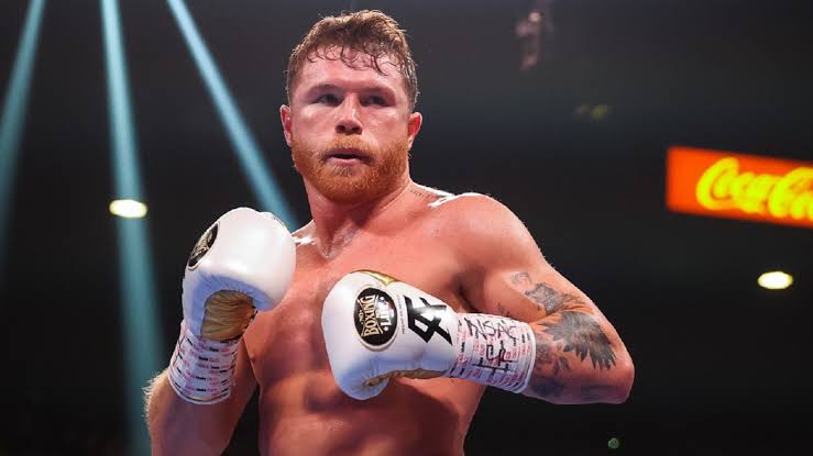 canelo net worth