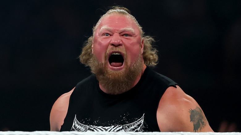 brock lesnar net worth