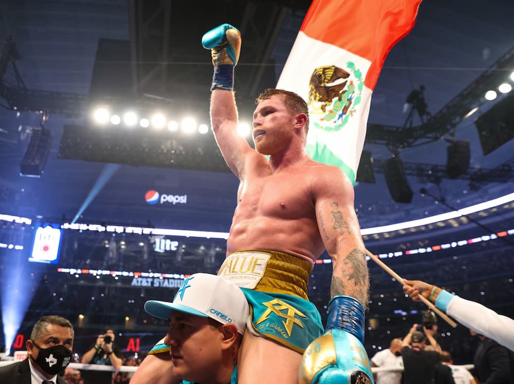 canelo networth canelo networth
