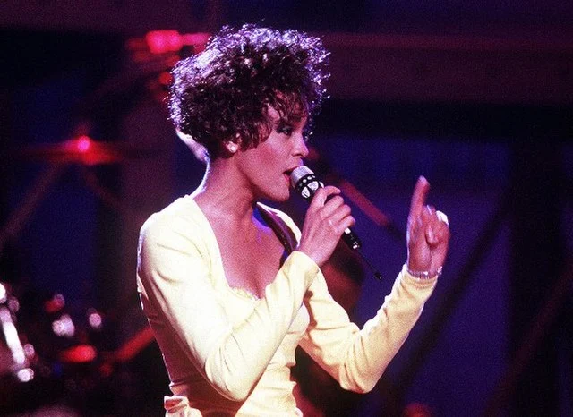 whitney houston's estate net worth whitney houston's estate net worth