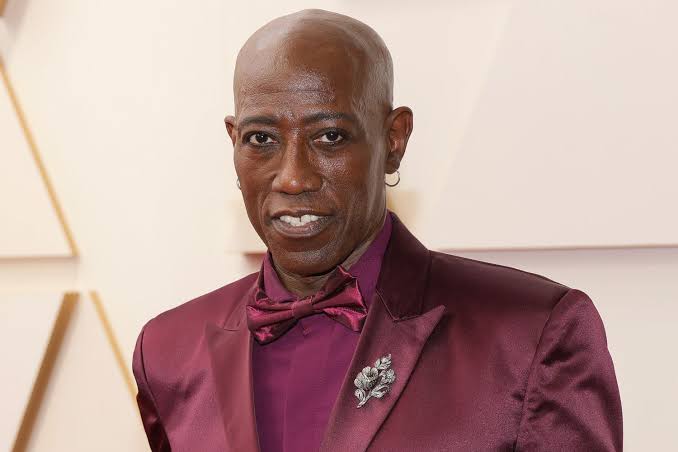 snipes net worth