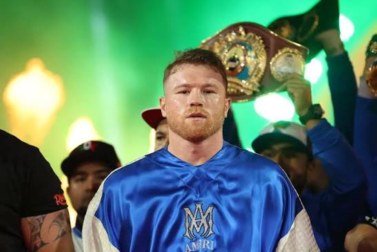 canelo net worth