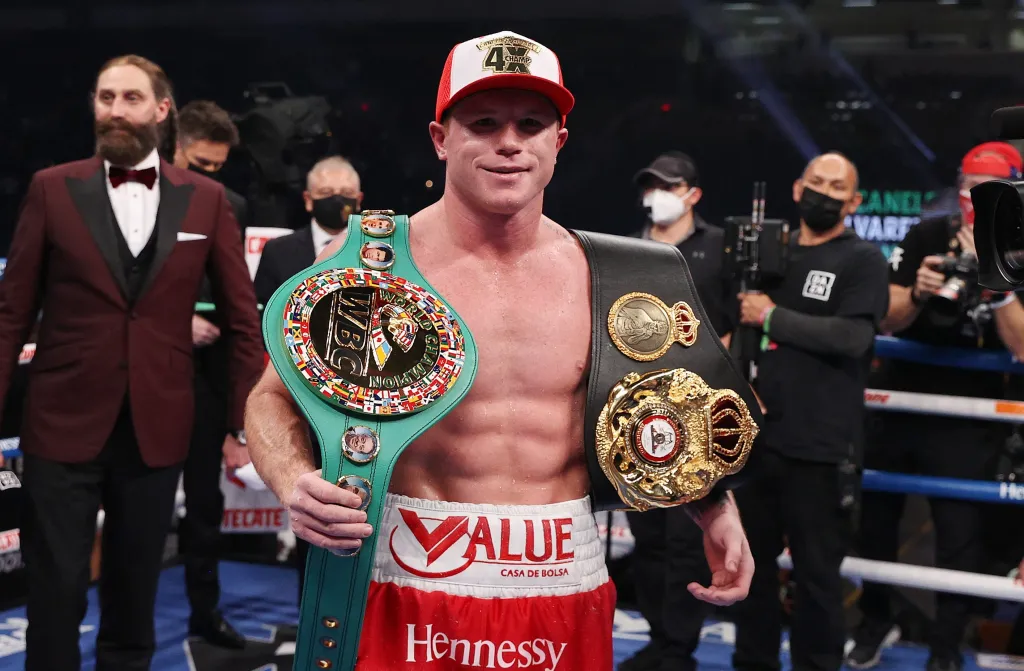 canelo networth
